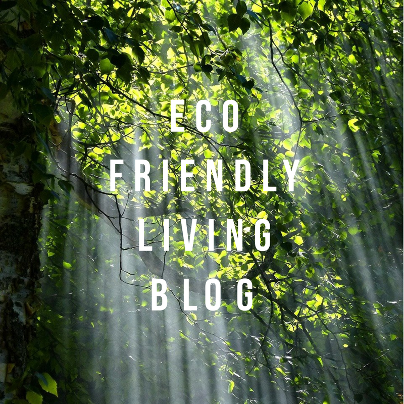 Eco Friendly Living