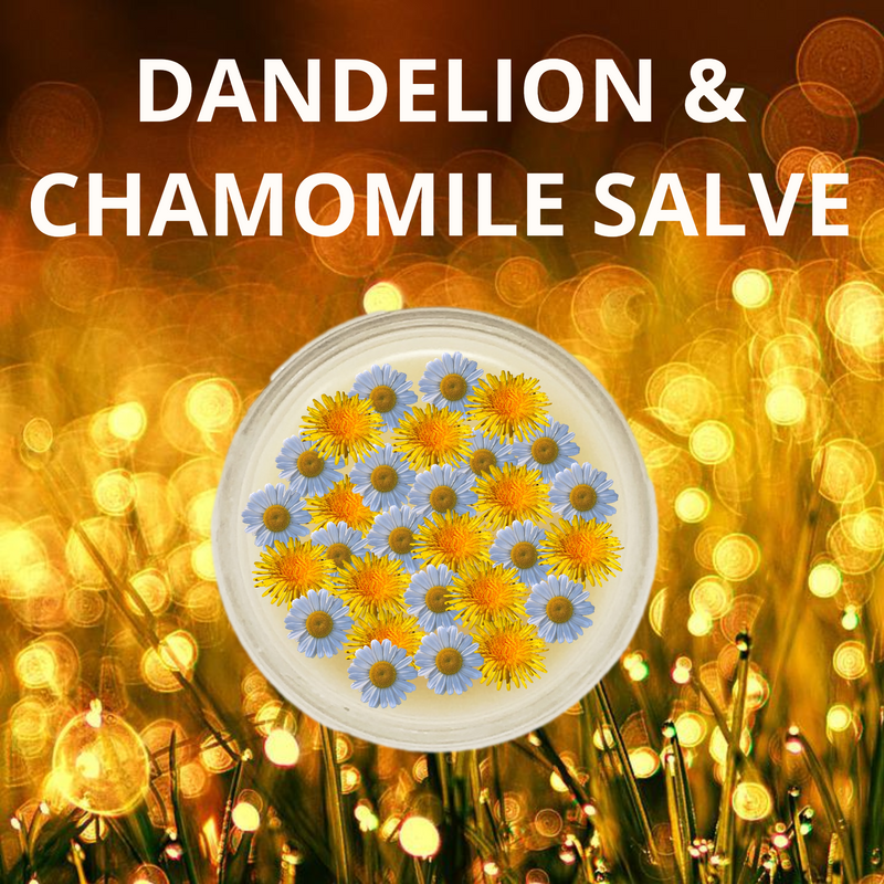 Dandelion and Chamomile Healing Salve